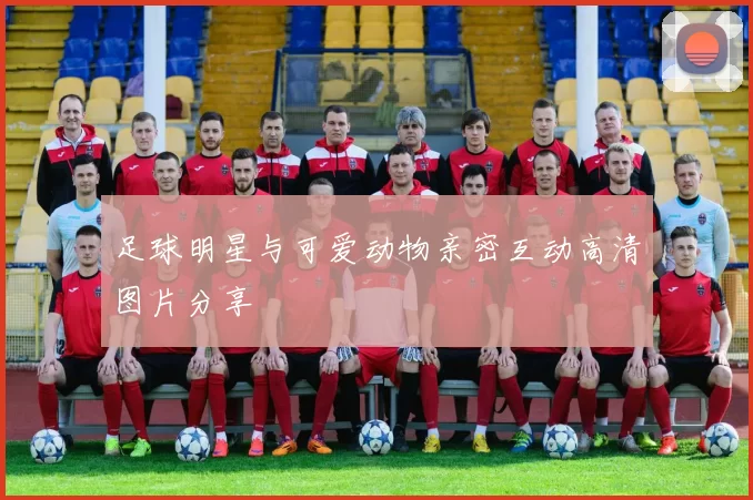 足球明星与可爱动物亲密互动高清图片分享