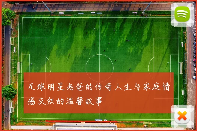 足球明星老爸的传奇人生与家庭情感交织的温馨故事