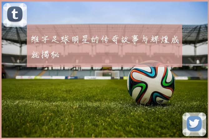 维字足球明星的传奇故事与辉煌成就揭秘