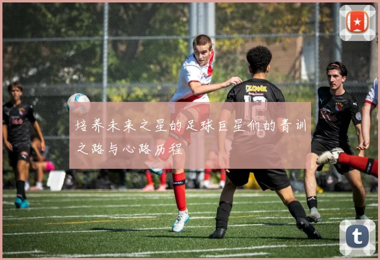 培养未来之星的足球巨星们的青训之路与心路历程