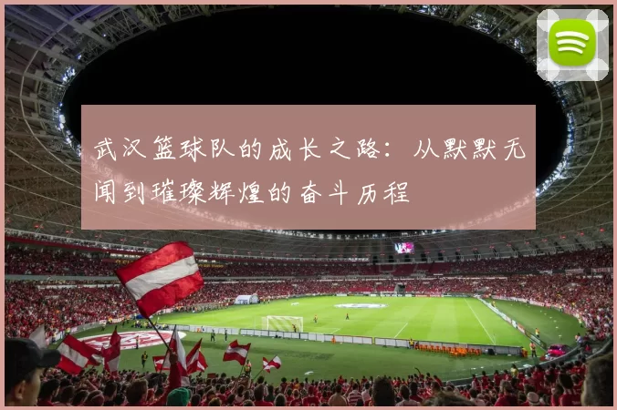 武汉篮球队的成长之路：从默默无闻到璀璨辉煌的奋斗历程