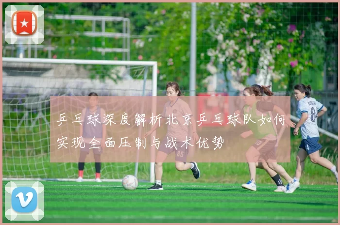 乒乓球深度解析北京乒乓球队如何实现全面压制与战术优势