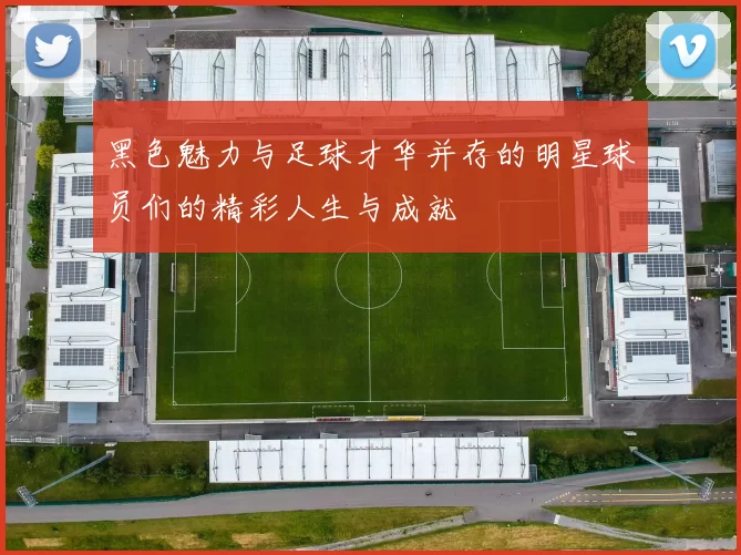 黑色魅力与足球才华并存的明星球员们的精彩人生与成就