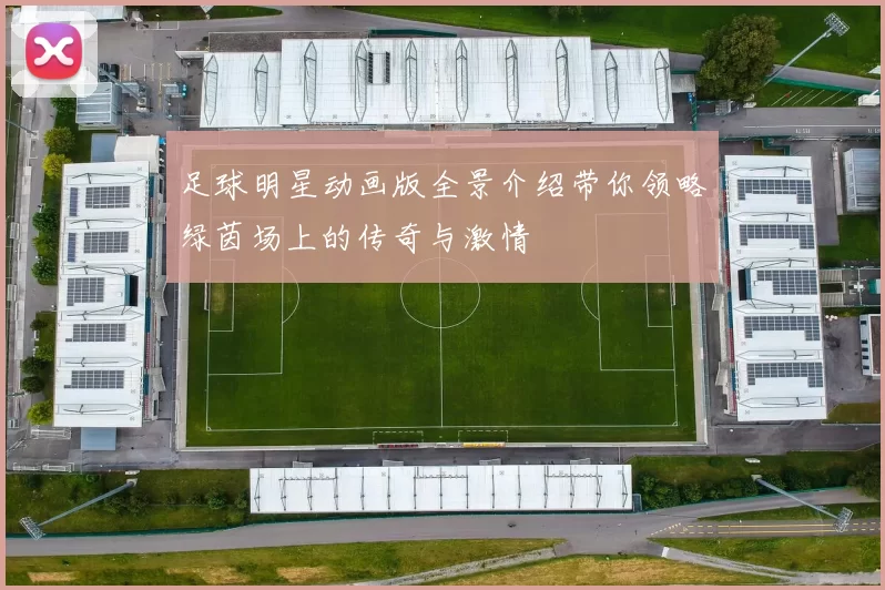 足球明星动画版全景介绍带你领略绿茵场上的传奇与激情