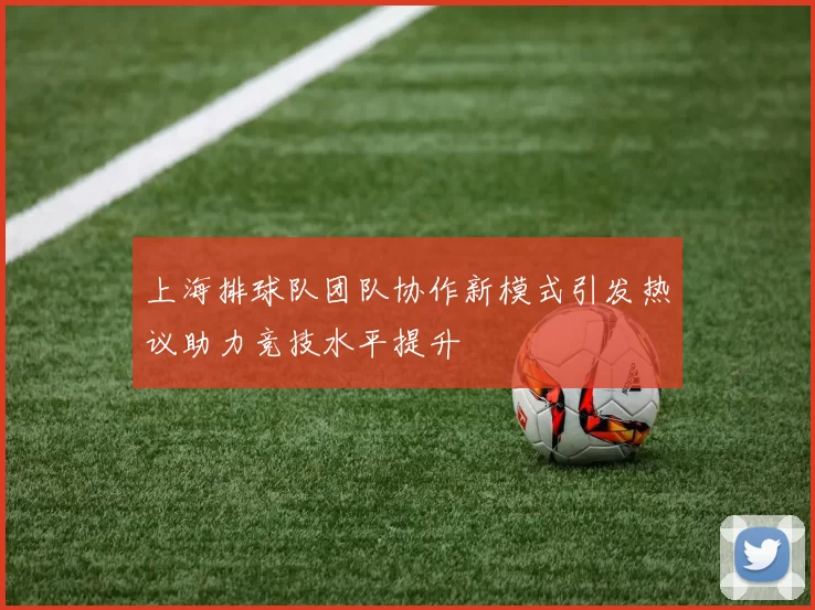 上海排球队团队协作新模式引发热议助力竞技水平提升