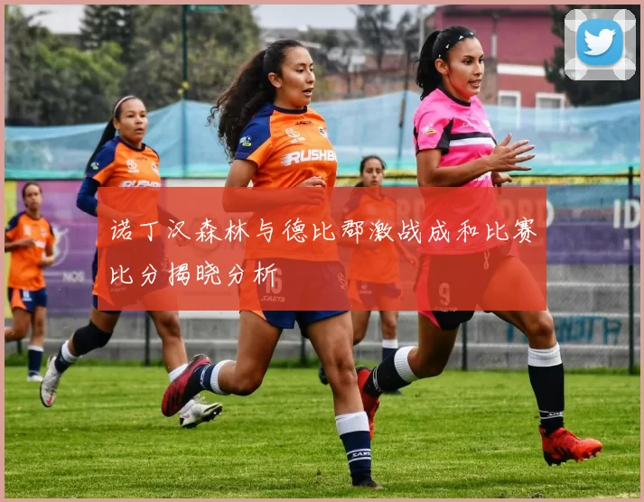 诺丁汉森林与德比郡激战成和比赛比分揭晓分析