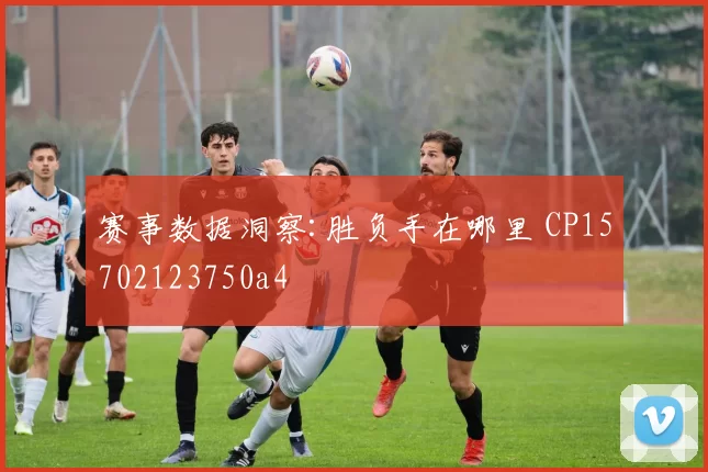 赛事数据洞察:胜负手在哪里 CP15702123750a4
