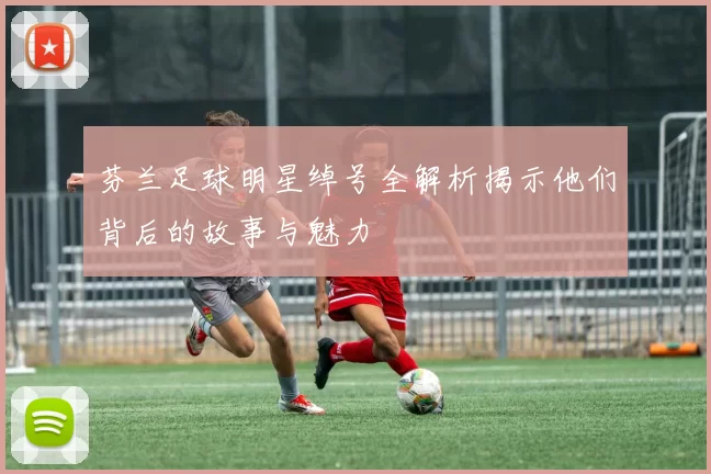 芬兰足球明星绰号全解析揭示他们背后的故事与魅力